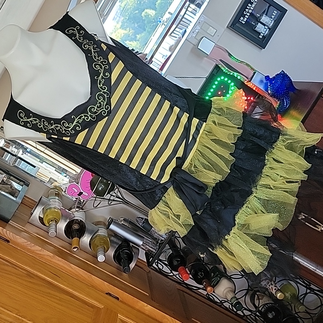 Wallys Bumble Bee Dress L 1214 Costume
